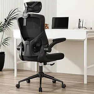 Ergonomic Mesh Desk Chair, High Back Computer Chair